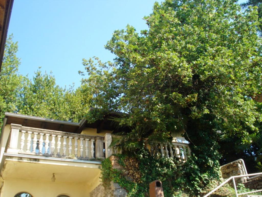 Apartments Villa Atta Опатия Номер фото